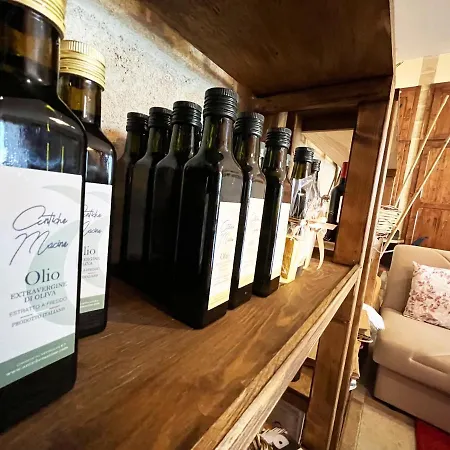 Farm stay Antiche Macine Del Salento - Nel Cuore Del Salento *