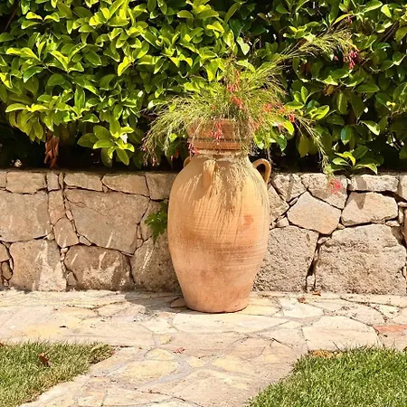Antiche Macine Del Salento - Nel Cuore Del Salento * サルヴェ